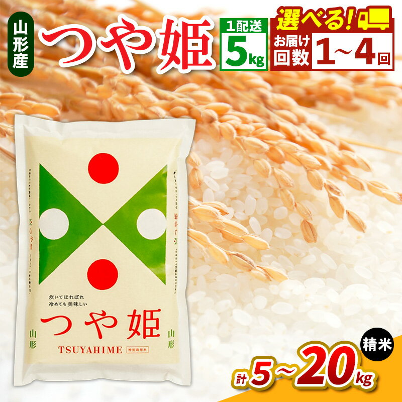 【ふるさと納税】令和7年産 山形県産 つや姫 精米 5kg FZ24-829 1回 2回 3回 4回 定期便 配送回数 発送回数 選べる