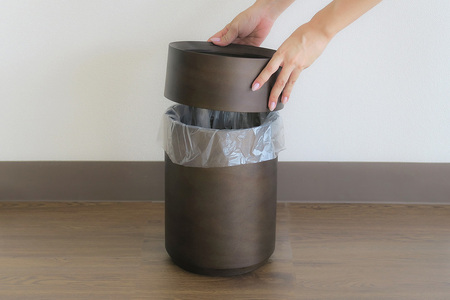 BUNACO 袋の見えないダストボックス（ダークブラウン） ブナコ ゴミ箱 木製家具 おしゃれ  シンプル