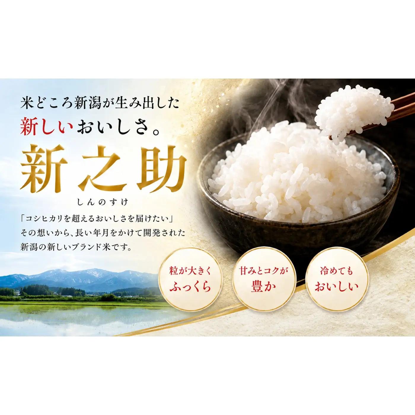 令和8年産 新潟県産 「鳥屋脇町生産組合 新之助」精米　10kg（5kg×2）（岩渕農場）