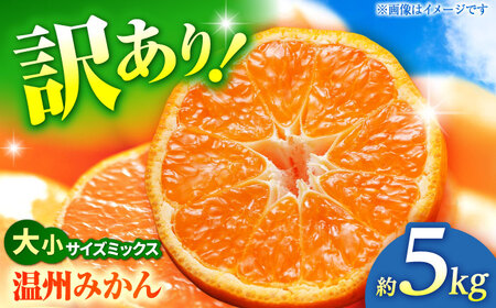 【先行予約】 温州みかん 訳あり サイズミックス 3S-3L 約5kg みかん 蜜柑 サイズ 不選別 家庭用 柑橘 フルーツ 果物 【日本フルーツ株式会社】[ZFJ050]