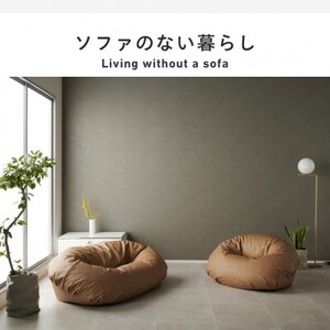 【ハナロロ】バルーンソファ 2P レザーカバーセット(パールホワイト)【1645260】