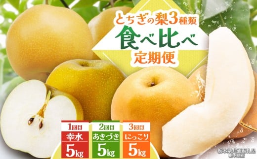 【栃木県共通返礼品】【2025年先行予約】とちぎの梨食べ比べ定期便 | にっこり 幸水 あきづき 梨 なし ナシ 新品種 先行予約 大粒 新鮮 甘い 美味しい 果物 くだもの フルーツ ふるーつ 共通返礼品 フルーツ デザート 栃木県 那珂川町 定期便