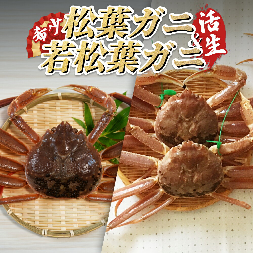 【ふるさと納税】松葉がに＆若松葉がにセット（生）｜鳥取県 岩美町 蟹 かに カニ 松葉がに 松葉ガニ 若松葉がに 若松葉ガニ ズワイガニ 新鮮 魚介 食べ比べ 詰め合わせ セット 冷蔵【22009-2】