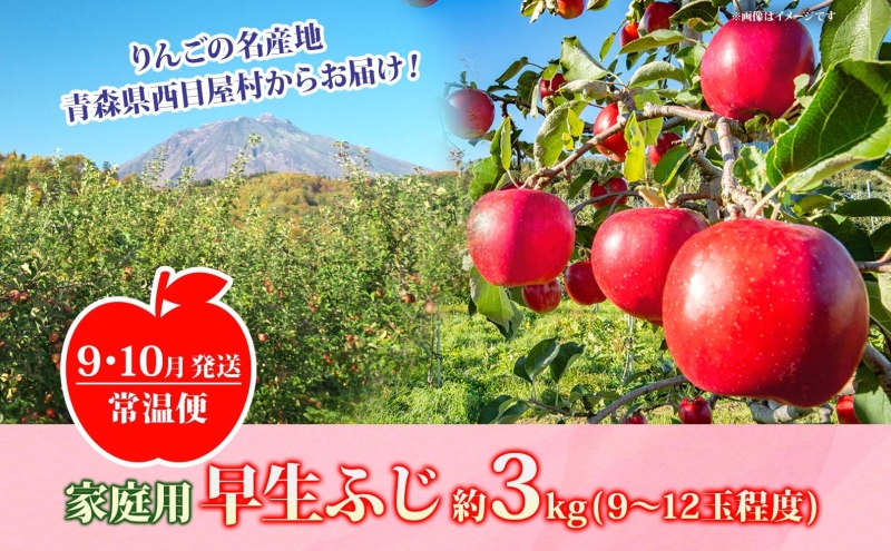【9月・10月発送】家庭用 早生ふじ 約3kg【西目屋村産・青森りんご】 りんご 林檎 リンゴ 果物 フルーツ くだもの 旬 青森県産 お取り寄せ 詰め合わせ セット 常温 産地直送 送料無料 青森県