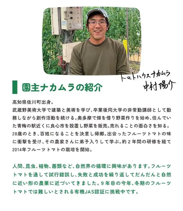 〈2026年1月より順次発送〉【年3回 定期便】アルテトマト 約800g（10‐16玉）×3箱 計約2.4kg フルーツトマト 栽培期間中化学農薬・化学肥料不使用 高知県 トマトハウスナカムラ 有機J