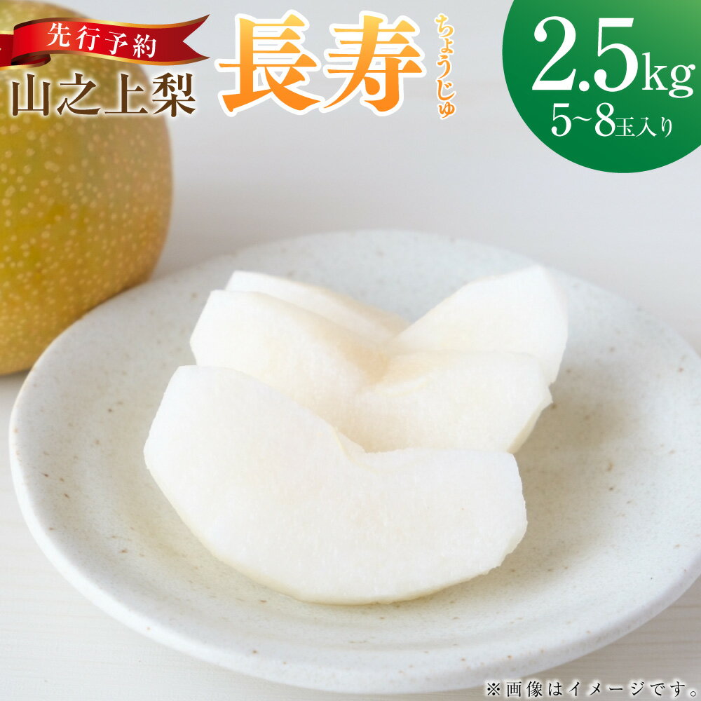 【ふるさと納税】【レビューキャンペーン対象商品】《先行予約》「丸坂山田農園」山之上梨 長寿 1箱 約2.5kg（5～8玉） | 梨 ナシ なし くだもの 果物 果実 フルーツ 冷蔵 岐阜県産 国産 岐阜県 美濃加茂市 送料無料 【2025年7月下旬～8月上旬発送予定】