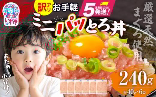 ねぎとろ 約240g（約40g×6パック）小分け 冷凍 個包装 使い切りパック 1人前 まぐろたたき まぐろ