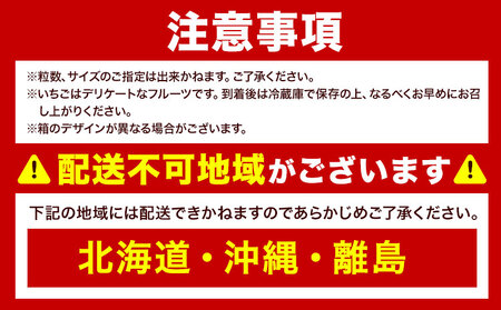 福岡県産 あまおう ギフト箱 約600g 南国フルーツ株式会社《12月上旬-3月末頃出荷》福岡県 鞍手町 あまおう いちご イチゴ 送料無料【配送不可地域あり】