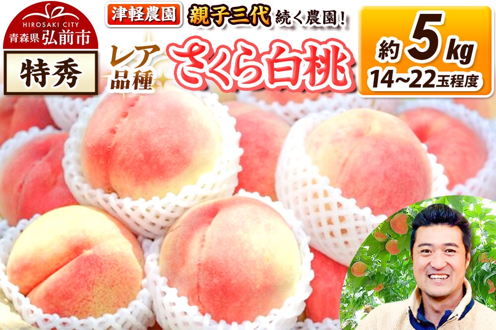 
                  【26年9月発送】桃 約5kg(14～22玉程度) 青森【2026年産 レア品種 さくら白桃】もも 特秀 くだもの フルーツ 果物 津軽農園 採れたて 農家直送 [おいしい ピーチ フルーツ もも 果実 果物 青森 津軽 桃 白桃 美味]
                