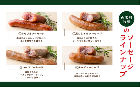 【訳あり】燻製ソーセージ おまかせ3袋セット / 訳あり ソーセージ 山之村 [AU010]