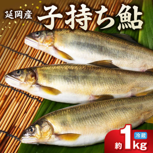 【先行予約】2026年10月下旬より発送開始【冷蔵】子持ち鮎 約１kg N070-YA5530-1