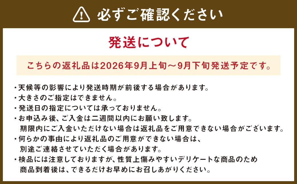 九重町産 梨 約5kg 