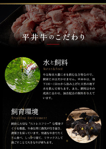 牛肉 黒毛和牛 平井牛一頭分 牛肉