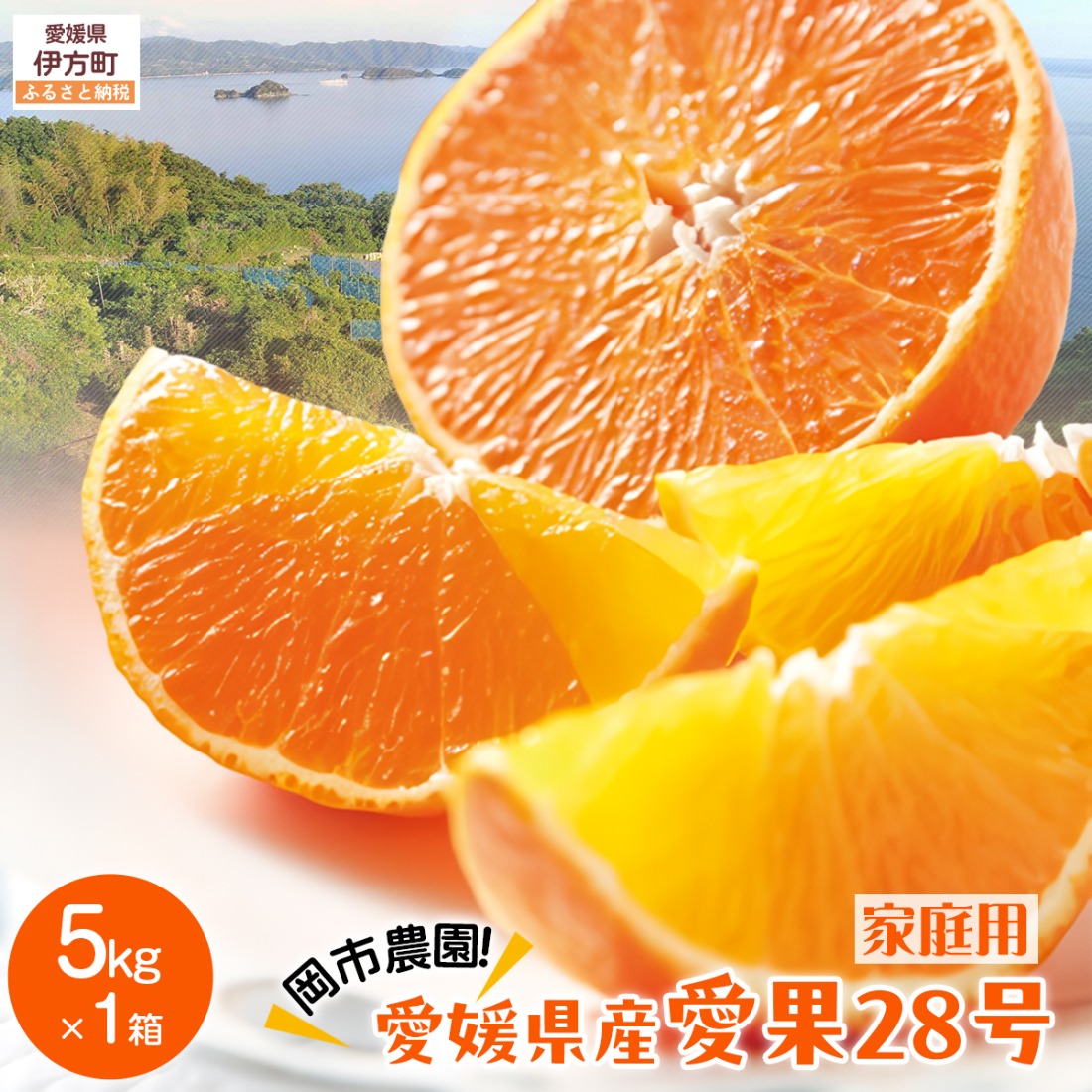 【先行予約】【数量限定】岡市農園！愛媛県産 愛果28号（家庭用） 5kg×1箱（サイズ混合）（2026年12月中旬より順次発送） IKTV005
