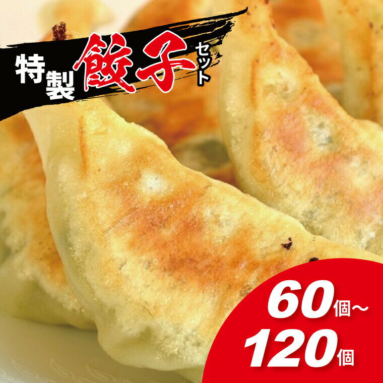 【ふるさと納税】餃子 冷凍餃子 セット選べる 種類 個数 60個 90個 120個 冷凍食品 人気 美味しい 有名店 スタミナ にんにく不使用 パーティ おすすめ 簡単 手作り ギョーザ ぎょうざ 焼き餃子 野菜 総菜 おつまみ 中華 大量 大容量 弁当