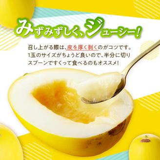 ★予約受付★（2024年5月以降発送）玄海町産キンショウメロン～4個～