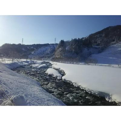 ふるさと納税 十日町市 令和6年産　農家直送!魚沼産コシヒカリ特別栽培「白羽毛の米」精米(300g×20袋)6kg |  | 03