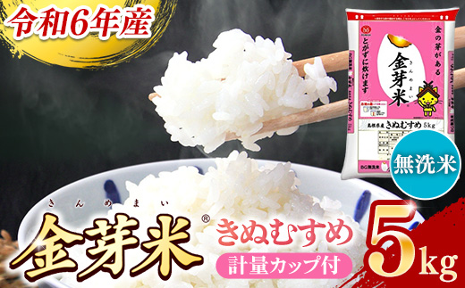 BG無洗米・金芽米きぬむすめ 5kg 計量カップ付き【令和6年産 節水 低カロリー 健康 ビタミン ミネラル つや お弁当 おいしい うまみ 甘み ふっくら 時短 簡単 島根県 安来市】【価格変更】