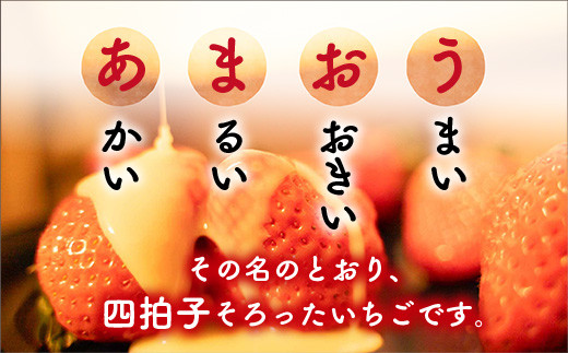 <先行予約受付中!2025年12月中に発送予定>福岡県産 あまおう(計約1kg・250g×4P)いちご 苺 フルーツ 果物 くだもの 冷蔵 <離島配送不可>【ksg1488】【エフビーネット】