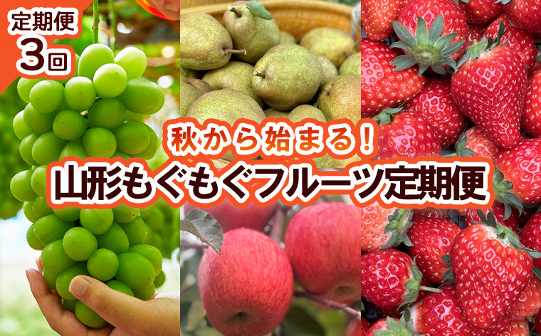 
            【定期便3回】秋から始まる！山形もぐもぐフルーツ定期便 【令和7年産先行予約】FU23-926 くだもの 果物 フルーツ 山形 山形県 山形市 2025年産
          