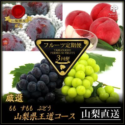 ふるさと納税 山梨市 【発送月固定定期便】フルーツ定期便全3回