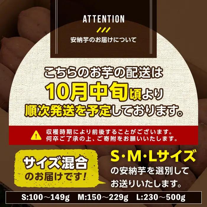 安納芋 さつまいも 10kg 生活 家計 応援 【種子島安納株式会社】n080-n