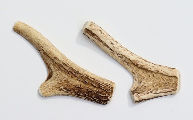 10cm（半割りタイプ）×2本