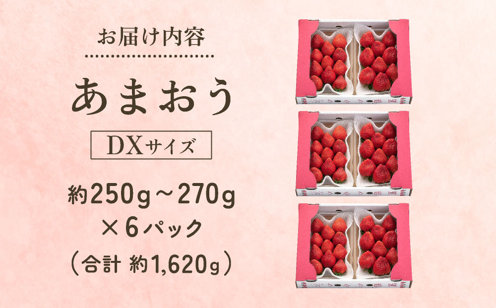 【2027年3月～4月発送】うるう農園のあまおうDX 約250g～270g×6P(約1620g)