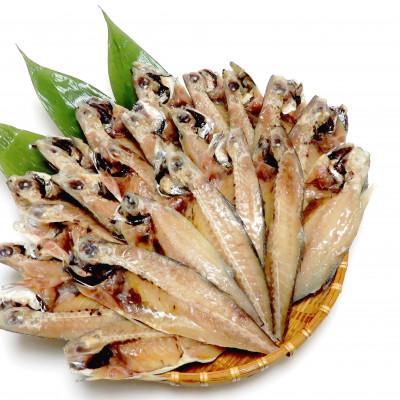 ふるさと納税 神栖市 【毎月定期便】【訳あり】規格外　あじ干物　1.9kg全2回