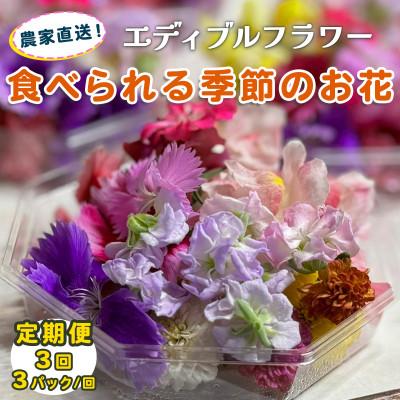 ふるさと納税 伊勢原市 【毎月定期便】加藤さんちのエディブルフラワー3パック (1パックあたり季節のお花15〜30輪)全3回