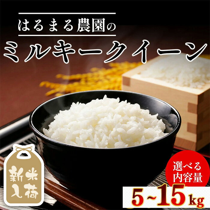【ふるさと納税】＜令和8年産 新米＞＜選べる容量＞京都丹波福知山産 はるまる農園のミルキークイーン 精米(5kg/10kg/15kg) 米 こめ ご飯 ごはん 白米 ミルキークイーン 新米【fc-CN004-R8】【はるまる農園】