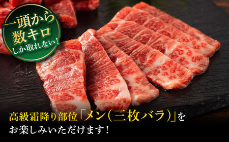 【全6回定期便】「本場・熊本」霜降り馬刺しと赤身の贅沢6種セット 3894【株式会社フジチク】[BHAD076]