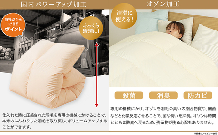 【柄ブルー】これだけあれば安心!超増量二層キルト羽毛掛布団95%プレミアムゴールドラベル1.5kg SL_AL-J201-gbl_(都城市) 寒い地域 寒がりさん 綿100%80サテン しなやかさ 柔