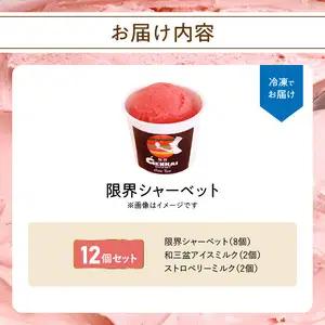 限界シャーベット 12個セット J06019