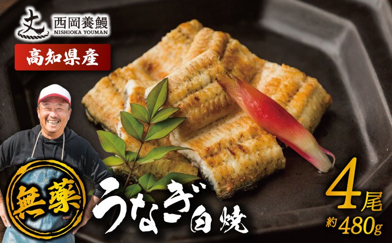 
                  完全無投薬 鰻白焼 国産 うなぎ白焼 480g ( 120g × 4尾 ) 鰻 厳選 無薬 うなぎ 白焼き 白やき 国産うなぎ 国産鰻 人気 鰻白焼き 特製タレ 山椒 セット 湯煎 簡単調理 旨味 風味 香ばしい うな重 土用の丑の日 夏バテ対策 スタミナ食 ギフト 贈り物 贈答 お取り寄せ グルメ 高級 うなぎ料理 こだわり 冷凍 高知県産 ランキング おすすめ 西岡養鰻 安芸市 高知県
                