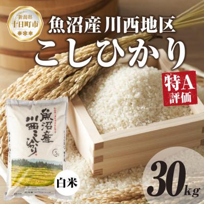 ふるさと納税 十日町市 【令和7年産】 魚沼産 川西 こしひかり 30kg 精米 新潟県産 お米 産地直送 十日町