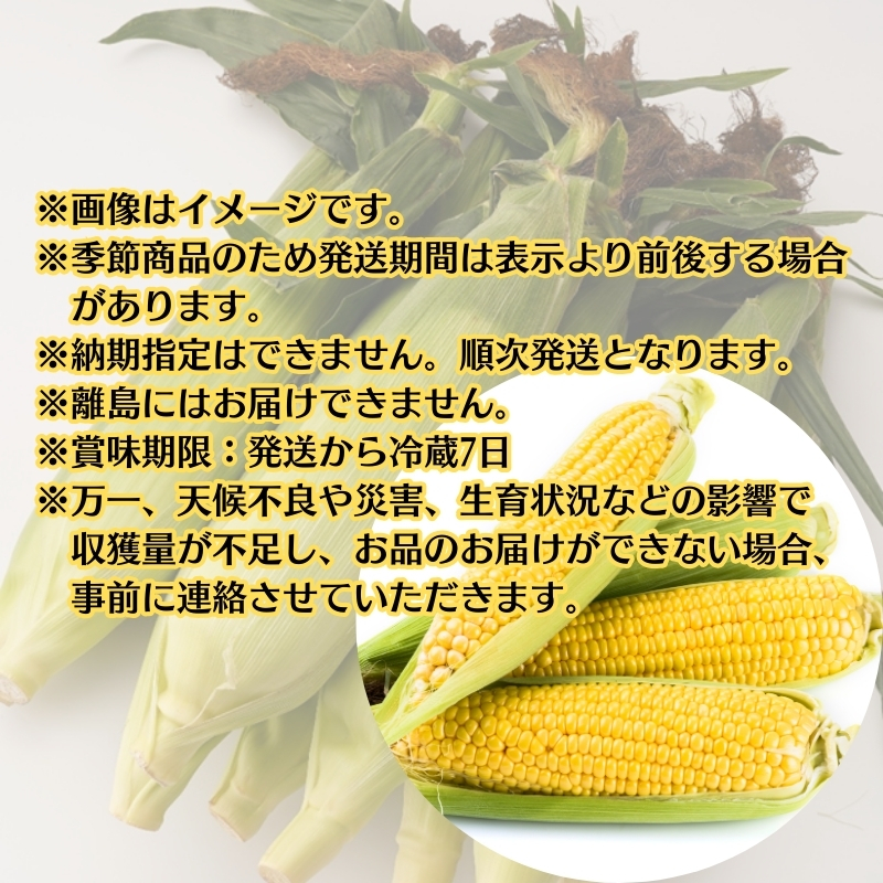 イエローコーン 約3kg