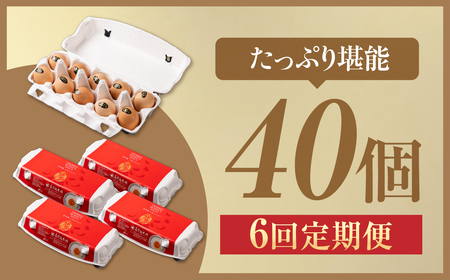 【6ヶ月定期便】烏骨鶏卵 モールド 40個セット | 烏骨鶏 卵 たまご 烏骨鶏卵