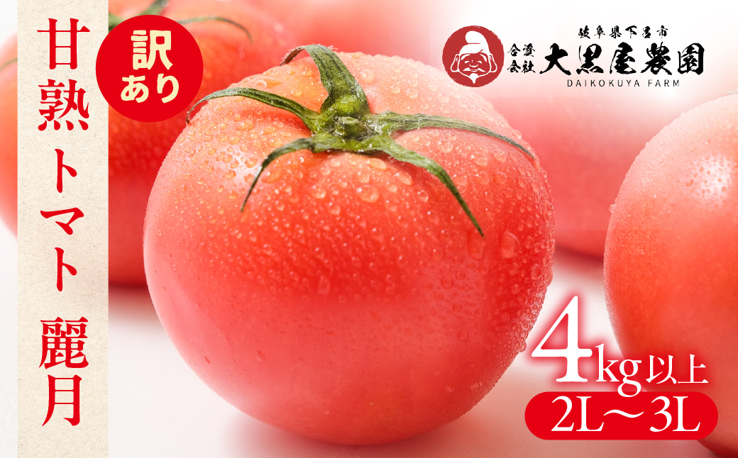 先行予約  訳あり（2026年7月上旬頃から順次発送）大黒屋農園 甘塾トマト 麗月 2Ｌ～3Ｌ 大サイズ 4kg以上 レイゲツ とまと 下呂市 期間限定【大黒屋農園】【119-5】