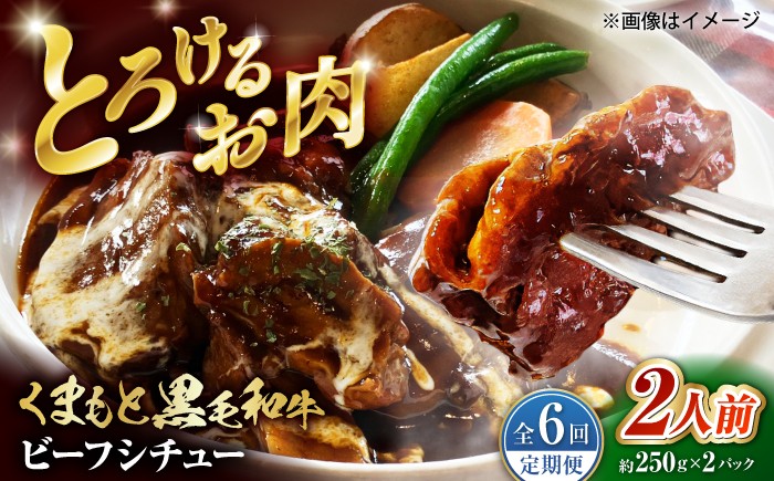 
                  【全6回定期便】 熊本県産 くまもと黒毛和牛 こだわりのビーフシチュー 計2パック （約250g×2パック） ビーフシチュー ビーフ シチュー 牛肉 肉 【有限会社スイートサプライなかぞの】 [ZBV109]
                