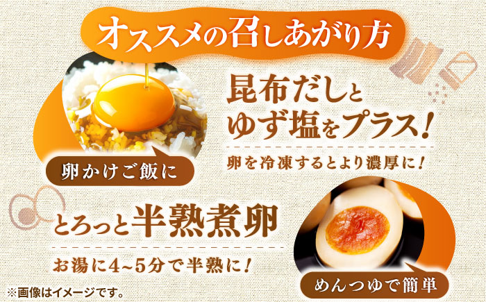 【全6回定期便】特選素直な恋たまご60個入り[JAP004] たまご 60個 鶏卵 玉子 大容量 国産 卵かけご飯 たまごかけご飯 すき焼き 78000 78000円