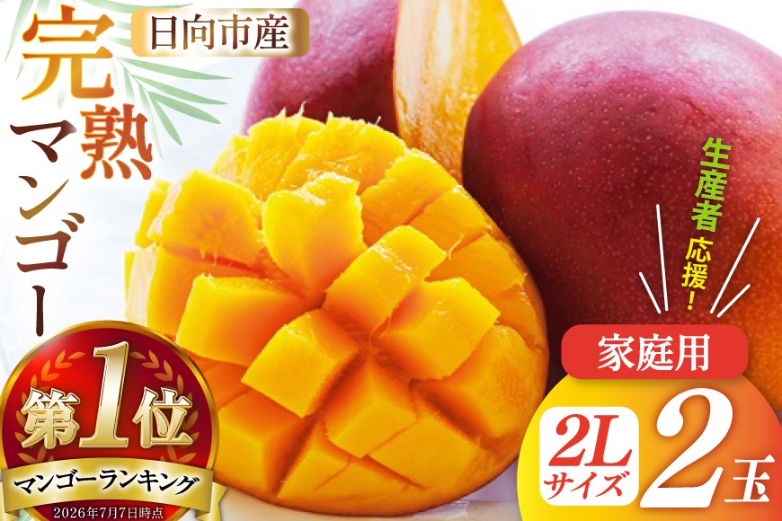 
                  【2026年夏発送】「生産者応援・数量限定」 訳あり 宮崎 完熟 マンゴー 家庭用 2L 2玉 [宮崎県農業協同組合日向地区本部（販売課） 宮崎県 日向市 452061563] 果物 フルーツ 規格外 完熟マンゴー 甘い 日向 期間限定 冷蔵 ◇
                