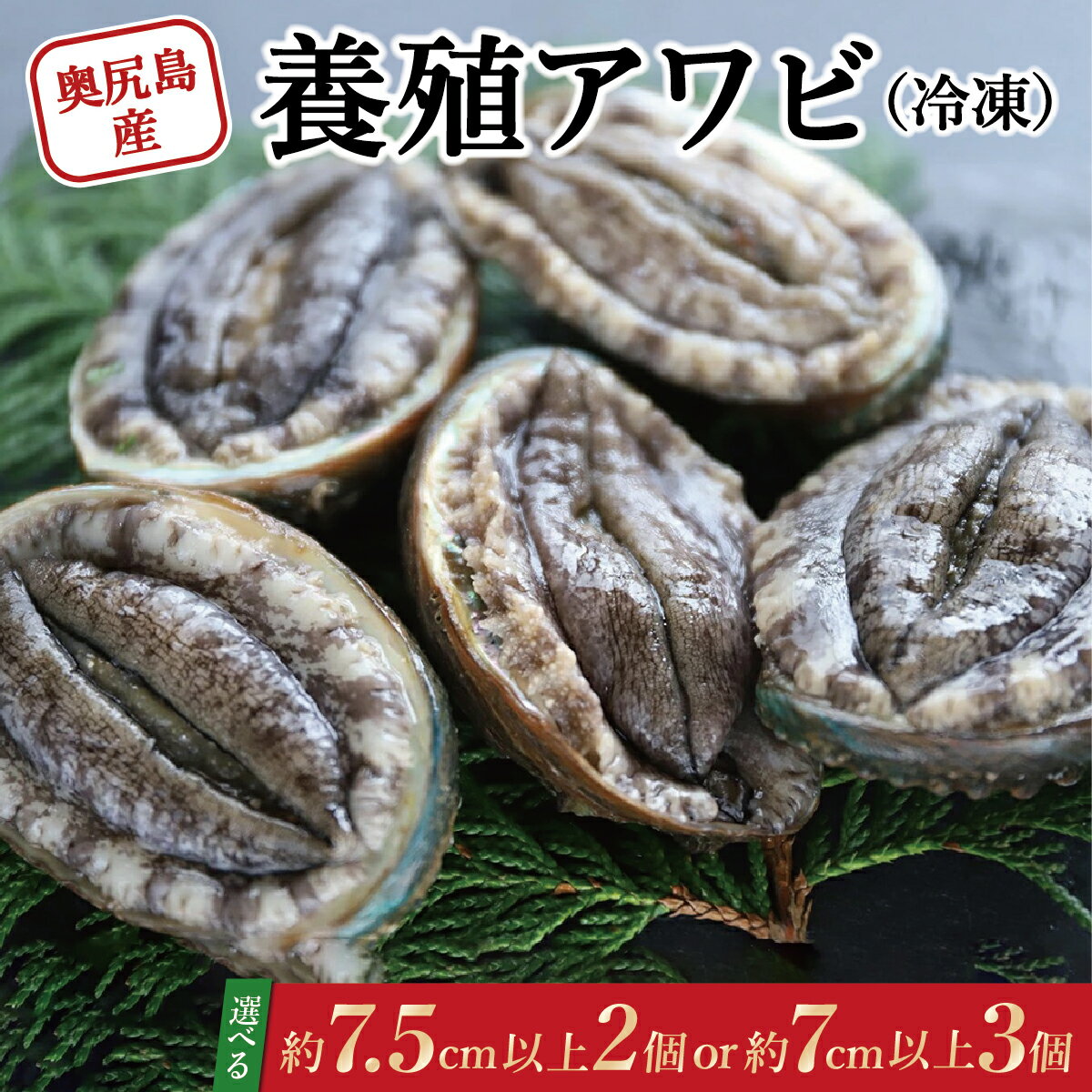 【ふるさと納税】奥尻島産 冷凍 養殖アワビ 《選べる個数》約75mm (2個入り) 約70mm (3個入り) | 新鮮 あわび アワビ 鮑 魚介 酒蒸し バター焼き 刺身 天ぷら グルメ お取り寄せ | 北海道 奥尻町 送料無料