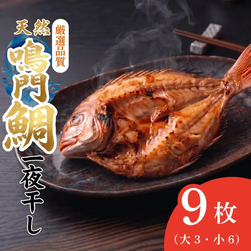 干物 9枚 鳴門鯛 干物セット