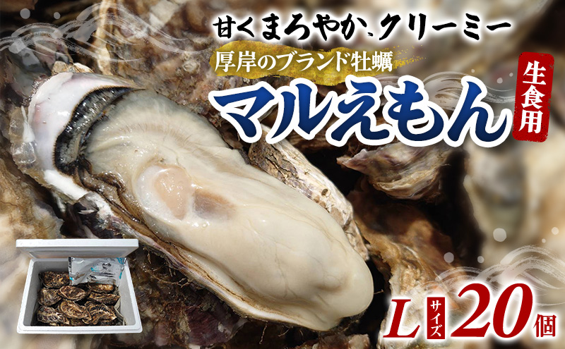 牡蠣 厚岸のブランド牡蠣 マルえもん Lサイズ 20個 生食用 魚貝類 海鮮 海のミルク 国産 生食用殻付き牡蠣 まろやか クリーミー 食べやすい品種 海の香り 牡蠣の酒蒸し 焼き牡蠣 