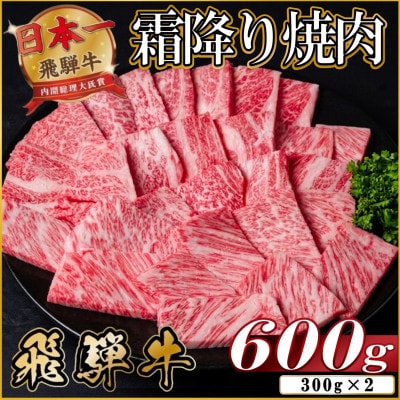 【訳あり】飛騨牛 霜降り焼肉 約600g【配送不可地域：離島】【1733136】