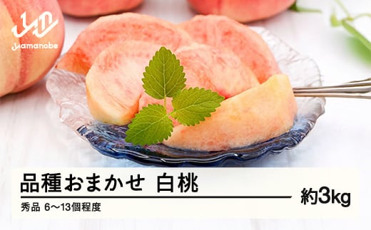
            《先行予約》もも 桃 品種おまかせ 白桃 秀品 約3kg (6～13個程度) 配送時期選べる 山形県産 nf-mohtx3
          