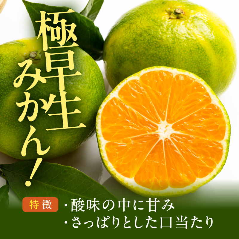 MK1070_【2025年先行予約】みかん 極早生 箱込10kg（内容量9.2kg）おまかせサイズ（S/M/L）秀品・優品 の混合 有田みかん 和歌山県産