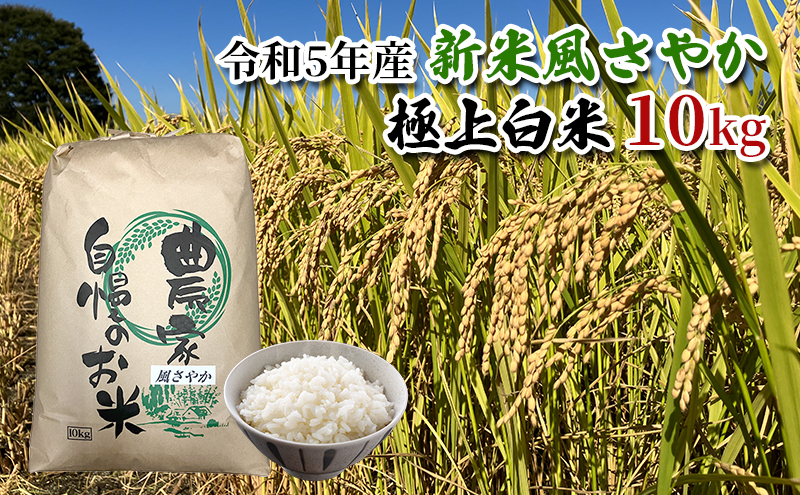 
【農家直送/令和5年産新米】長野県産「風さやか」（10kg）【栄屋ファーム】 [№5659-1496]
