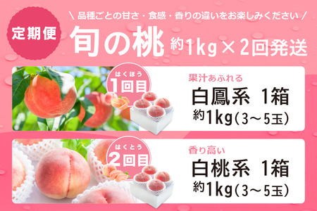 【2026年発送 先行予約】2回定期便 旬のフルーツ定期便（桃白鳳系1㎏・桃白桃系1㎏）180-028-26y